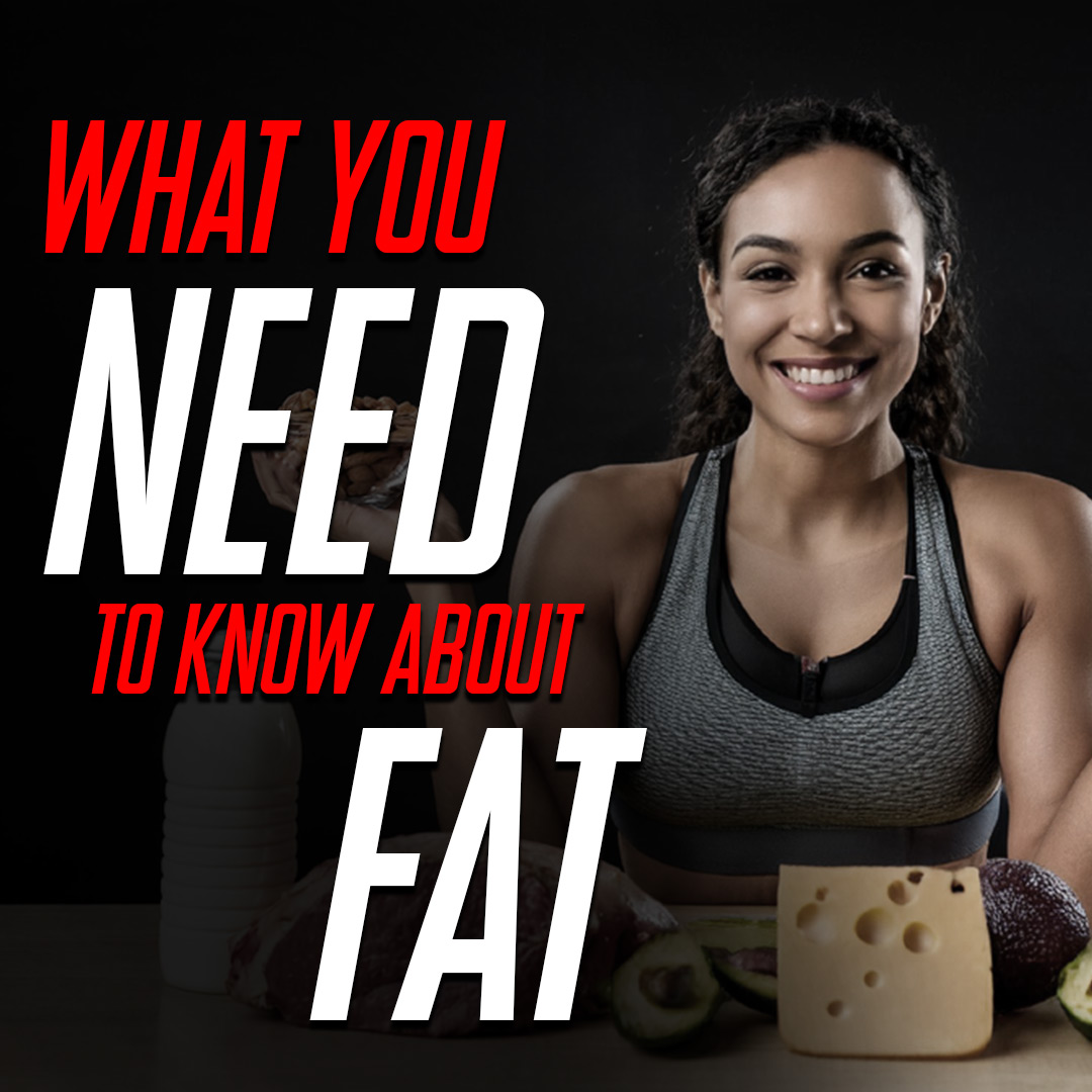 What You Need To Know About Fat